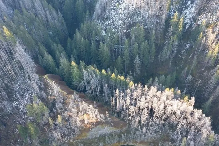 Framed Print : An aerial view shows a snow-covered forest growing over the hills and canyons in the Columbia River Gorge of Oregon Framed Print : An aerial view shows a snow-covered forest growing over the hills and canyons in the Columbia River Gorge of Oregon