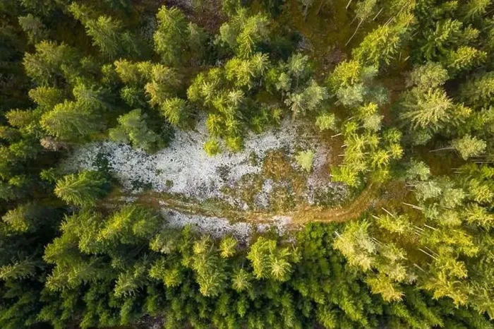 Framed Print : Aerial view of snowy forest with a little country road. Captured from above with a drone Framed Print : Aerial view of snowy forest with a little country road. Captured from above with a drone