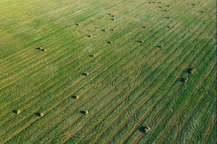 Framed Print : Aerial View of Summer Field Landscape With With Dry Hay Bales During Harvest. Trails Lines on Farmland. Top View Agricultural Landscape. Drone View. B Framed Print : Aerial View of Summer Field Landscape With With Dry Hay Bales During Harvest. Trails Lines on Farmland. Top View Agricultural Landscape. Drone View. B
