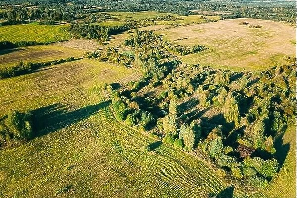 Aerial View Summer Green Meadow With Trimmed Grass And Forest Landscape. Top View Of Field And Forest
