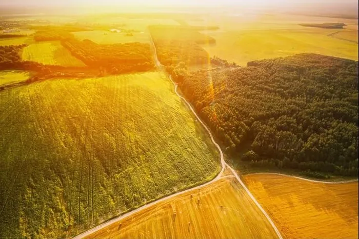 Framed Print : Aerial View Of summer Hay Rolls Straw Field and forest Landscape. Haystacks, Hay Rolls. Harvest Season. Elevated View. sunbeam sunlight sunshine Framed Print : Aerial View Of summer Hay Rolls Straw Field and forest Landscape. Haystacks, Hay Rolls. Harvest Season. Elevated View. sunbeam sunlight sunshine
