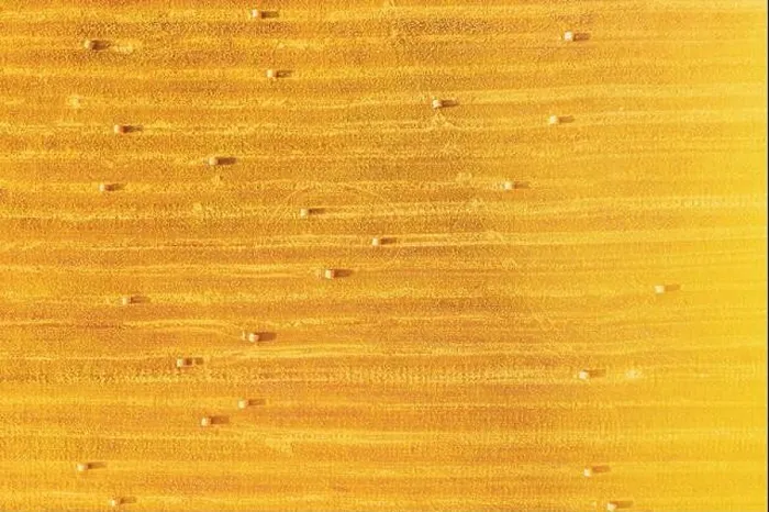 Framed Print : Aerial View Of Summer Hay Rolls Straw Field Landscape In Evening. Haystack, Hay Roll In Sunrise Time. Sunbeam Sunlight Sunshine Highlight. Natural Framed Print : Aerial View Of Summer Hay Rolls Straw Field Landscape In Evening. Haystack, Hay Roll In Sunrise Time. Sunbeam Sunlight Sunshine Highlight. Natural