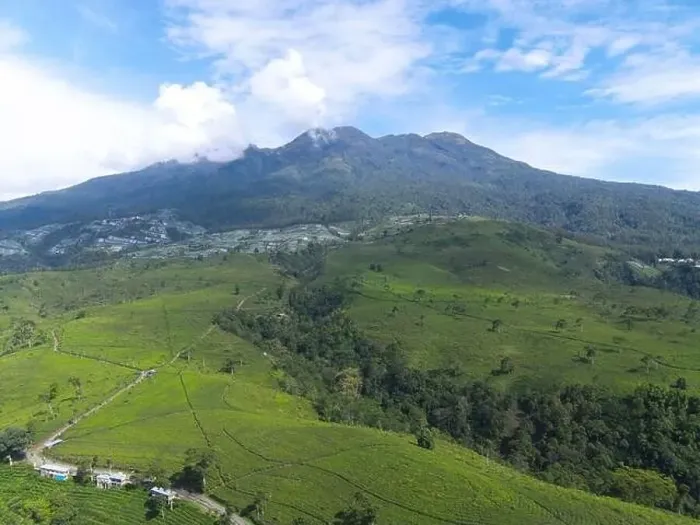 Framed Print : Aerial view of tea plantation in Kemuning, Indonesia with Lawu mountain background Framed Print : Aerial view of tea plantation in Kemuning, Indonesia with Lawu mountain background