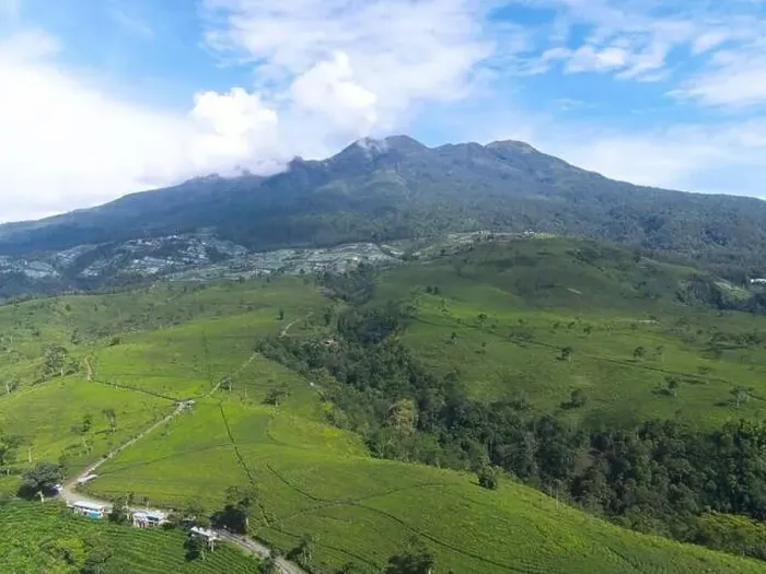 Framed Print : Aerial view of tea plantation in Kemuning, Indonesia with Lawu mountain background Framed Print : Aerial view of tea plantation in Kemuning, Indonesia with Lawu mountain background