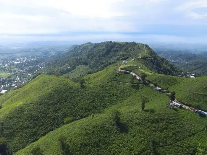 Framed Print : Aerial view of tea plantation in Kemuning, Indonesia with Lawu mountain background Framed Print : Aerial view of tea plantation in Kemuning, Indonesia with Lawu mountain background