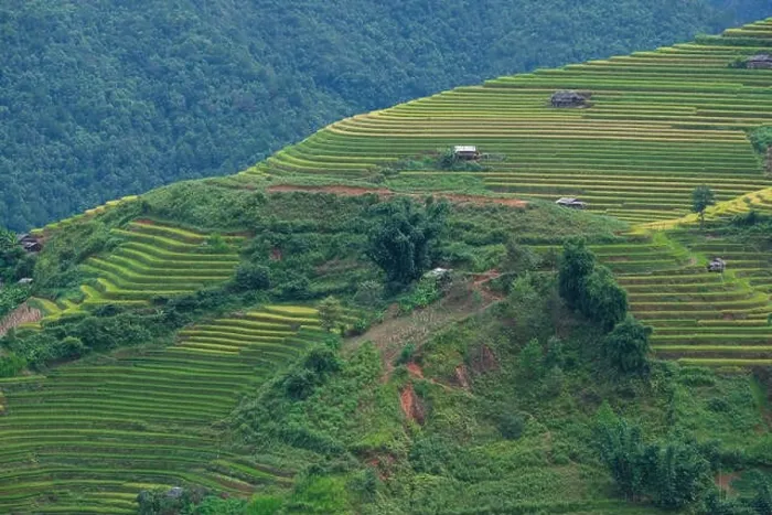 Framed Print : Aerial view of Vietnam landscape Framed Print : Aerial view of Vietnam landscape