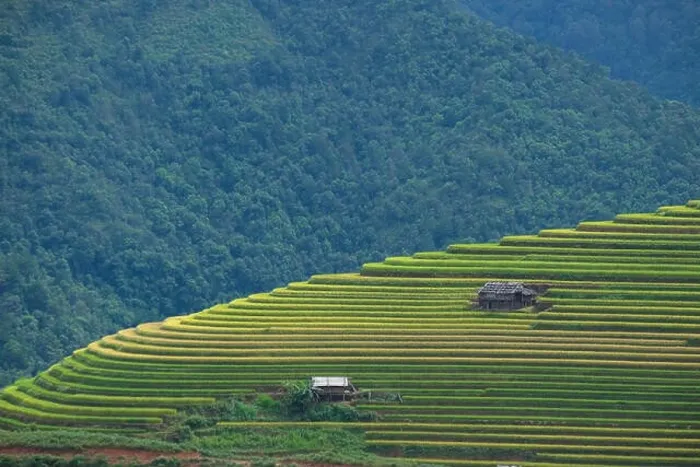 Framed Print : Aerial view of Vietnam landscapes Framed Print : Aerial view of Vietnam landscapes