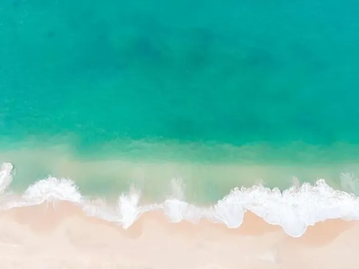 Framed Print : Aerial view top view Beautiful topical beach with white sand coconut palm trees and sea Framed Print : Aerial view top view Beautiful topical beach with white sand coconut palm trees and sea