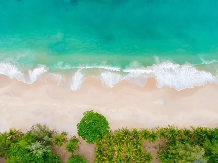 Framed Print : Aerial view top view Beautiful topical beach with white sand coconut palm trees and sea Framed Print : Aerial view top view Beautiful topical beach with white sand coconut palm trees and sea