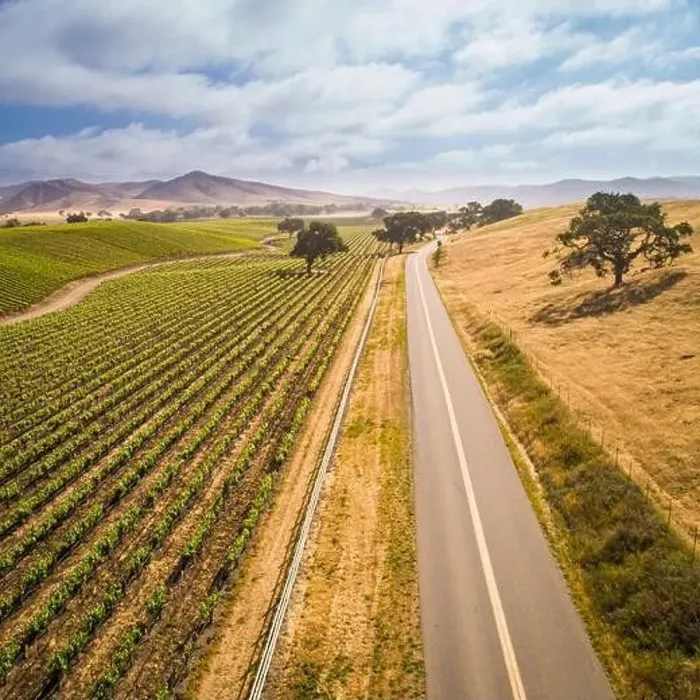 Framed Print : aerial view of vineyards along Happy Canyon Road in the Santa Ynez Valley, California Framed Print : aerial view of vineyards along Happy Canyon Road in the Santa Ynez Valley, California