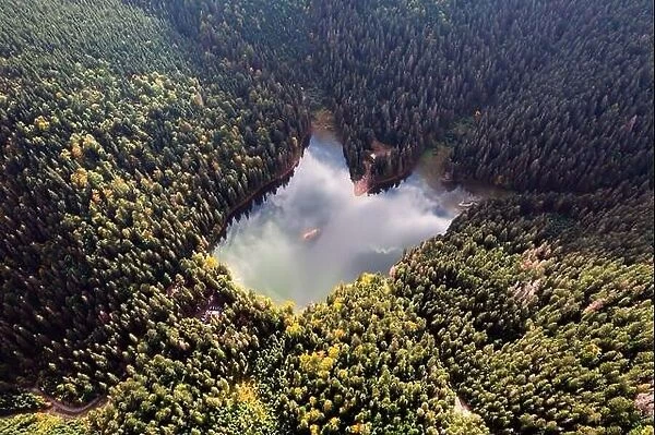 Aerial view of wild Lake Synevir in Carpathian Mountains in Ukraine. Foggy lake in summer autumn forest. Landscape photography