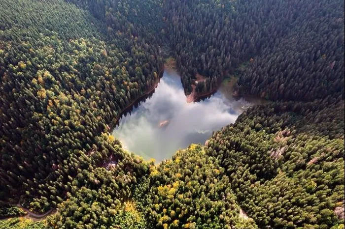 Framed Print : Aerial view of wild Lake Synevir in Carpathian Mountains in Ukraine. Foggy lake in summer autumn forest. Landscape photography Framed Print : Aerial view of wild Lake Synevir in Carpathian Mountains in Ukraine. Foggy lake in summer autumn forest. Landscape photography