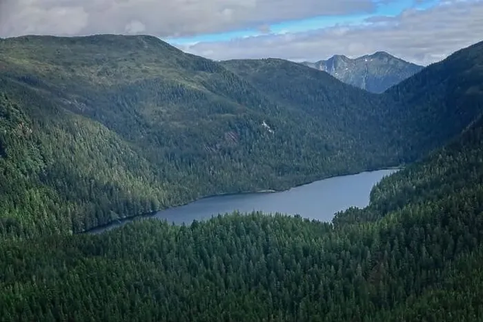 Framed Print : Aerial view on the wilderness in Alaska with trees and a river Framed Print : Aerial view on the wilderness in Alaska with trees and a river