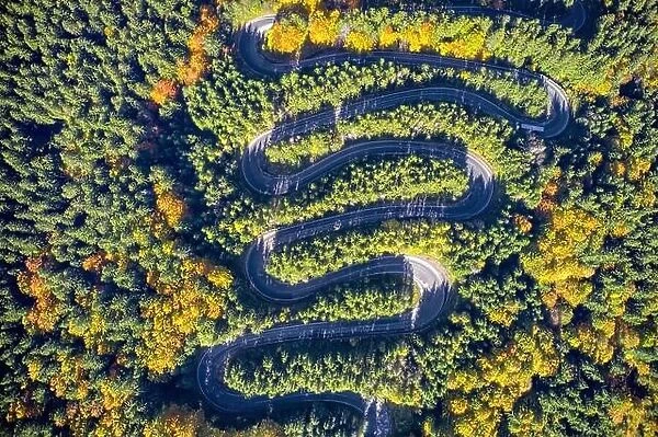 Aerial view of a winding mountain road passing through a fir trees forest. Autumn colors