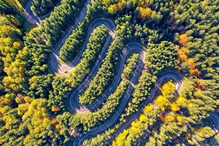Framed Print : Aerial view of a winding mountain road passing through a fir trees forest. Autumn colors Framed Print : Aerial view of a winding mountain road passing through a fir trees forest. Autumn colors