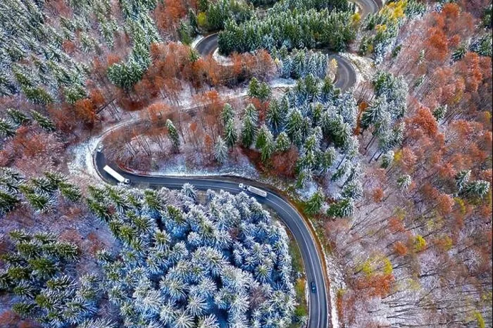 Framed Print : Aerial view of a winding mountain road passing through a fir trees forest. Winter with snow Framed Print : Aerial view of a winding mountain road passing through a fir trees forest. Winter with snow