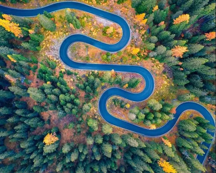 Framed Print : Aerial view of winding road in autumn forest Framed Print : Aerial view of winding road in autumn forest