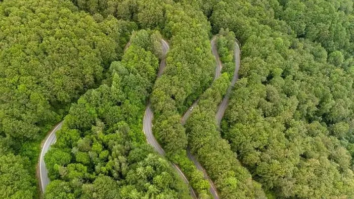 Framed Print : Aerial view of a winding road passing through a lush green forest Framed Print : Aerial view of a winding road passing through a lush green forest