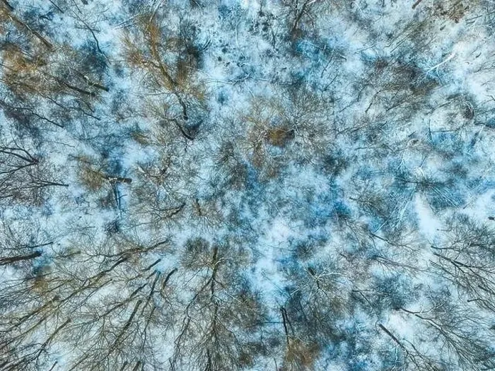 Framed Print : Aerial view from above of winter forest covered in snow Framed Print : Aerial view from above of winter forest covered in snow