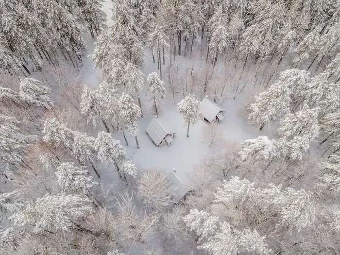 Framed Print : Aerial view of a winter snow-covered pine forest Framed Print : Aerial view of a winter snow-covered pine forest