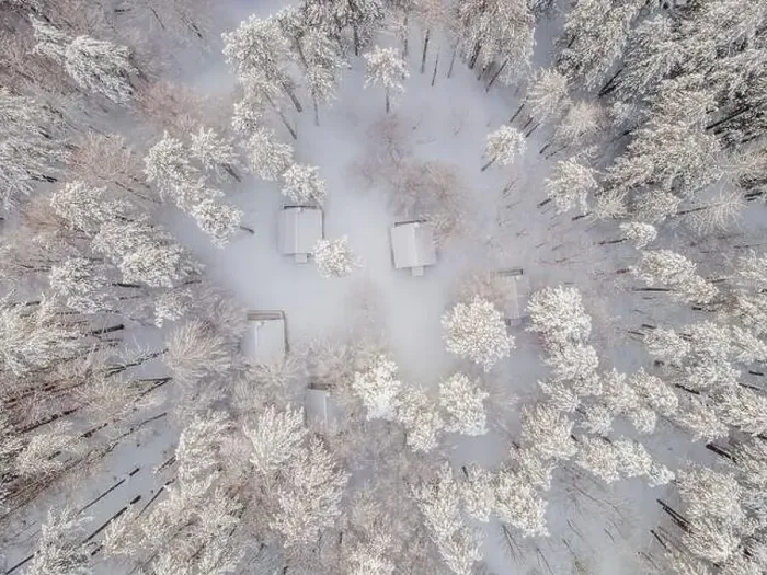 Framed Print : Aerial view of a winter snow-covered pine forest. Aerial drone view of a winter landscape. Snow covered forest Framed Print : Aerial view of a winter snow-covered pine forest. Aerial drone view of a winter landscape. Snow covered forest