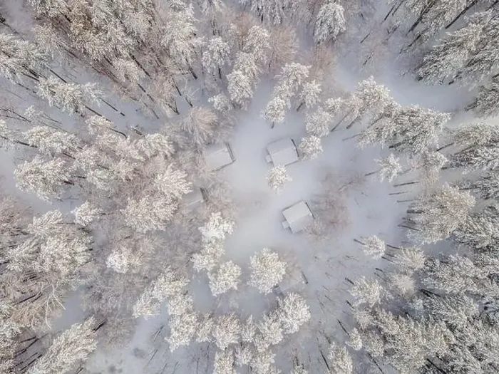 Framed Print : Aerial view of a winter snow-covered pine forest. Aerial drone view of a winter landscape. Snow covered forest Framed Print : Aerial view of a winter snow-covered pine forest. Aerial drone view of a winter landscape. Snow covered forest