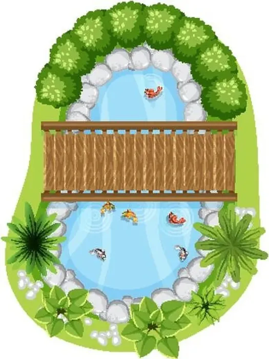 Framed Print : Aerial view with wooden bridge on nature pond illustration Framed Print : Aerial view with wooden bridge on nature pond illustration