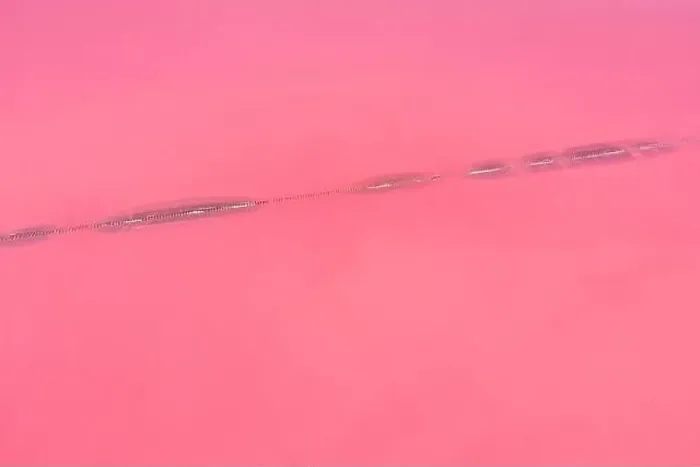 Framed Print : Aerial view of wooden structures for collecting salt on a pink lake, Genichesk Framed Print : Aerial view of wooden structures for collecting salt on a pink lake, Genichesk