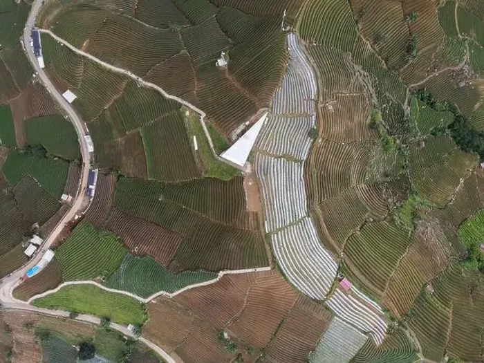 Framed Print : Aerial view of World heritage Panyaweuyan rice terraces in Majalengka with noise cloud Framed Print : Aerial view of World heritage Panyaweuyan rice terraces in Majalengka with noise cloud
