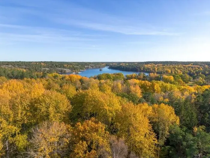 Framed Print : Aerial view of yellow autumn leaf foliage in trees of Hellasgården Nackareservatet nature reserve in Sweden Framed Print : Aerial view of yellow autumn leaf foliage in trees of Hellasgården Nackareservatet nature reserve in Sweden