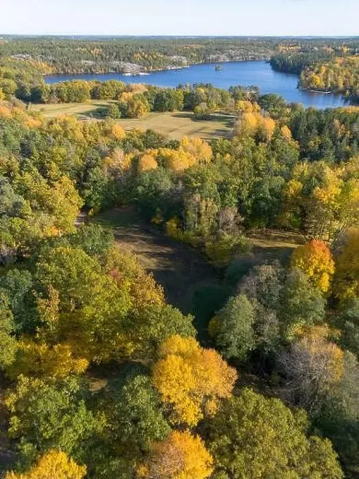 Framed Print : Aerial view of yellow autumn leaf foliage in trees of Hellasgården Nackareservatet nature reserve in Sweden Framed Print : Aerial view of yellow autumn leaf foliage in trees of Hellasgården Nackareservatet nature reserve in Sweden