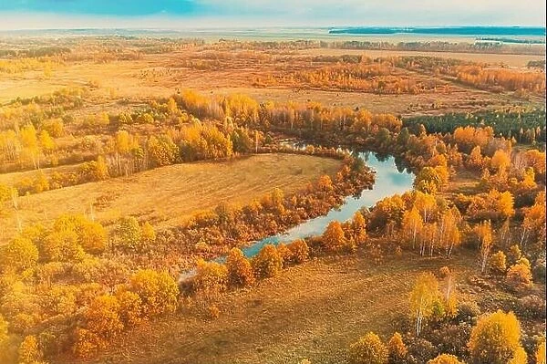 Aerial view yellow forest and curved river landscape in sunny autumn day. Top view of beautiful european nature from high attitude in autumn season