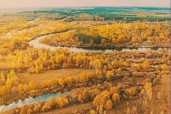 Aerial view yellow forest and river landscape in sunny autumn day. Top view of beautiful european nature from high attitude in autumn season. Drone