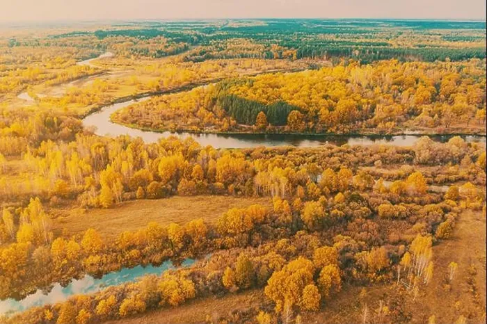 Framed Print : Aerial view yellow forest and river landscape in sunny autumn day. Top view of beautiful european nature from high attitude in autumn season. Drone Framed Print : Aerial view yellow forest and river landscape in sunny autumn day. Top view of beautiful european nature from high attitude in autumn season. Drone