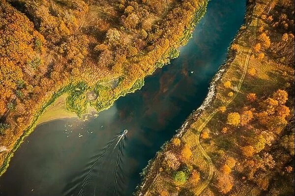 Aerial view of yellow forest woods and river marsh bog in autumn landscape. Bird's eye view of marsh bog. Top view of beautiful european nature from