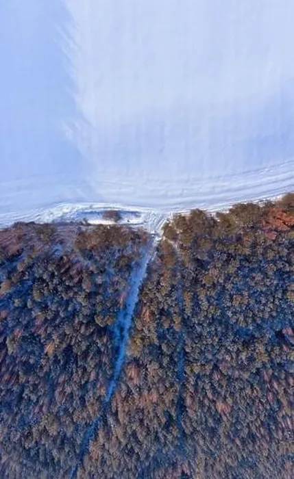 Framed Print : Aerial winter landscape. Snowy frost covered forest and field with tracks in snow