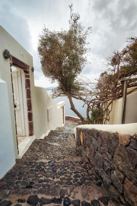 Framed Print : Alleyway with a tree in Santorini taken in January 2018 Framed Print : Alleyway with a tree in Santorini taken in January 2018