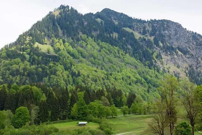 Framed Print : Allgäu, Wiesen, Felder, Berghang, Wald