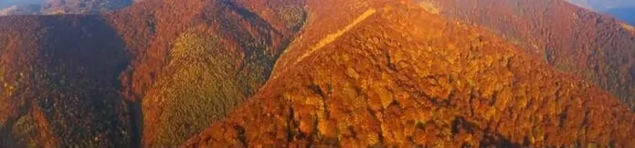 Framed Print : Alpine autumn deciduous forest above clouds Drone view Framed Print : Alpine autumn deciduous forest above clouds Drone view
