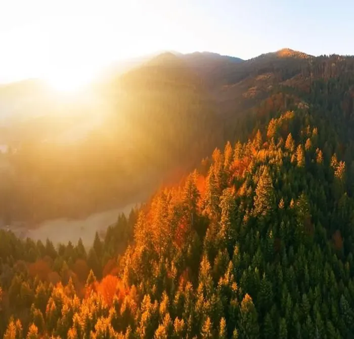 Framed Print : Alpine autumn deciduous forest above clouds Drone view