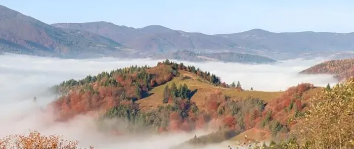 Framed Print : Alpine autumn deciduous forest above clouds Drone view