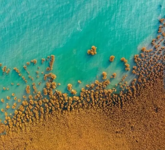 Framed Print : Alsoors Hungary - Aerial view of beautiful reeds formation with crystal clear turquoise water at lake Balaton Framed Print : Alsoors Hungary - Aerial view of beautiful reeds formation with crystal clear turquoise water at lake Balaton