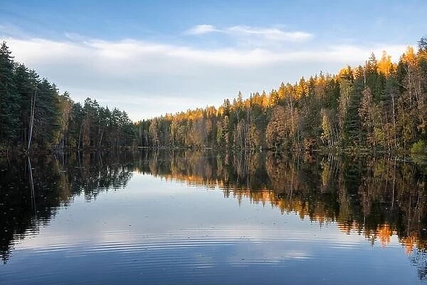 Amazing autumn landscape with lake, golden colored forest and blue sky, outdoor travel background in Finland