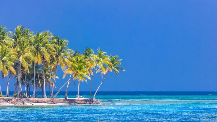 Framed Print : Amazing beach banner. Tropical landscape, palm trees, white sand and blue sky. Exotic vacation and holiday concept. Luxury travel destination concept Framed Print : Amazing beach banner. Tropical landscape, palm trees, white sand and blue sky. Exotic vacation and holiday concept. Luxury travel destination concept