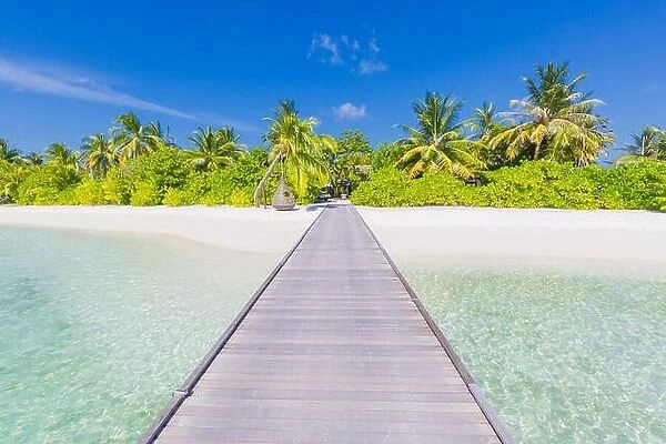Amazing beach landscape, long jetty into the palm trees. Maldives, paradise beach background, design banner. Luxury vacation and holiday concept