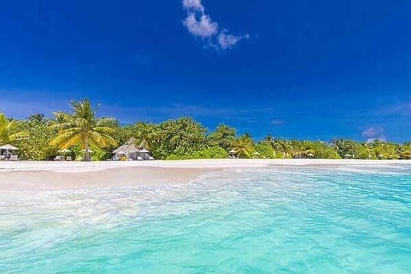 Amazing beach with palm trees sea sand sky. Stunning summer vacation travel holiday panoramic shore, coast. Maldives paradise beach. Luxury resort