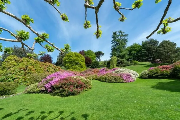 Framed Print : Amazing garden with flowers in Bellagio - Como lake in Italy Framed Print : Amazing garden with flowers in Bellagio - Como lake in Italy