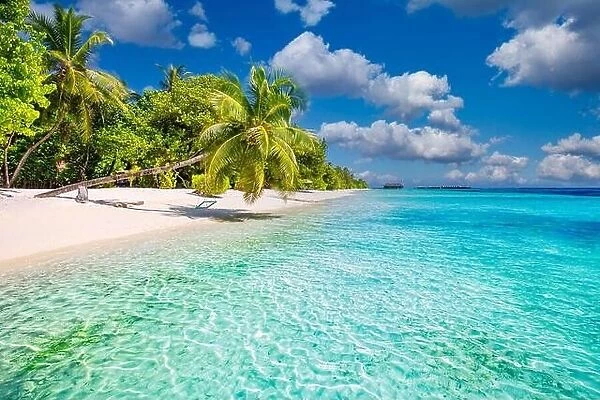 Amazing island beach. Tropical landscape of summer scenery, white sand with palm trees. Luxury travel vacation destination. Exotic beach landscape