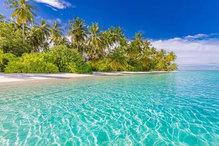 Framed Print : Amazing nature beach with palm trees and moody sky. Summer vacation travel holiday background concept. Maldives paradise beach. Luxury travel summer Framed Print : Amazing nature beach with palm trees and moody sky. Summer vacation travel holiday background concept. Maldives paradise beach. Luxury travel summer