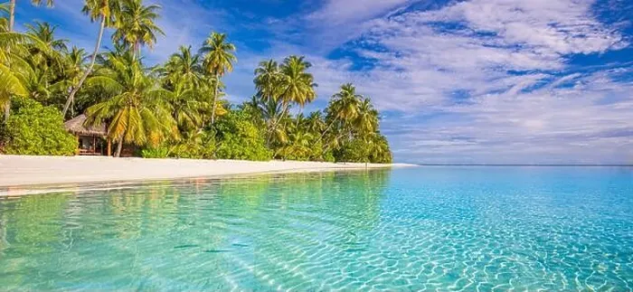 Framed Print : Amazing nature beach with palm trees and moody sky. Summer vacation travel holiday background concept. Maldives paradise beach. Luxury travel summer
